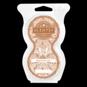 SCENTSY BRIGHT CIDER LIFE TWIN PODS SOLD OUT