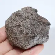 170g Chondrite Meteorite,NWA unclassified Meteorite From Northwest Africa R1219