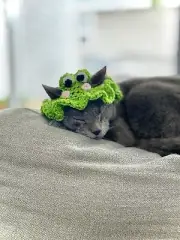 Handmade Knitted Frog Hat for Cats – Cute and Cozy Pet Costume