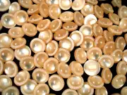 Buttons 12mm Peach 30pc Sewing Clothing Crafts Sew Dressmaking