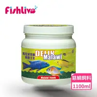 在飛比找momo購物網優惠-【FishLive 樂樂魚】DELIK Malawi 馬拉威