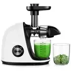 Slow Masticating Juicer with 2-Speed Modes - Cold Press Juicer Machine - Quie...