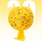 1xSticky Fruit Fly Traps Ball Fungus Gnat Killer Trap Use for Indoor-Outdoor New
