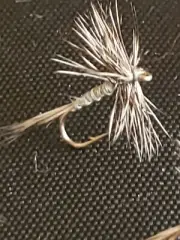 TROUT DRY FLY MIDGE DUN # 22 CUSTOM TIED FRONTIER FLY CO