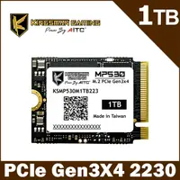 在飛比找PChome24h購物優惠-AITC艾格 KINGSMAN MP530 1TB M.2 