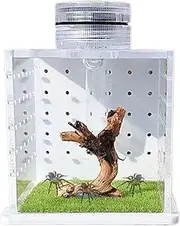 Jumping Spider Terrarium, Clear Frog Tank Cage, Small Reptile Enclosure, Lightweight Breeding Box, Reptile Tank with Light and Humidifier for Spiders and Frogs