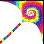 Colorful Vortex Kite for Kids Adults, Easy to Fly Art Rainbow Kites for Boys Girls Beginner, 62 x 31.5inch Fly Kite 295ft Kite Line, Flying Toys for Beach Park Outdoor Fun