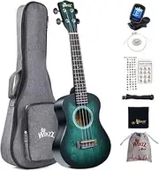 Winzz Ukulele Concert 23 Inches Blue-green, Ukulele Beginner Kit for Adults and Children, Unique Color Design