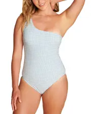 Andie The Nantucket Gingham One-Piece