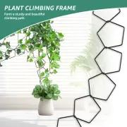 20Pcs Pothos Climb Trellis Pentagram Shape Vines Climbing Trellis xiaUx