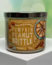 Bath & Body Works Pumpkin Peanut Brittle 3-Wick Candle