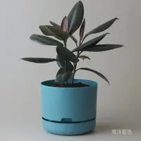 在飛比找蝦皮購物優惠-Mr Kitly x Decor Selfwatering 