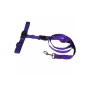 Hands Free Leash Dog Lead With Waist Belt For Jogging Walking Running