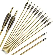 12 Pcs Turkey Feather Fletching Wooden Target Arrows with Field Points for Recurve Bow or Longbow