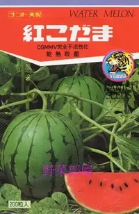 在飛比找Yahoo!奇摩拍賣優惠-【野菜部屋~蔬菜種子】R10 紅小玉西瓜種子5粒 , 糖度高