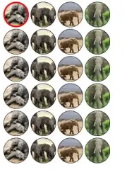 24 X ELEPHANT MIX NOVELTY RICE PAPER CAKE TOPPERS