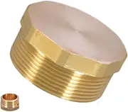 Pipe Fittings - Galvanized NPT Connector Pipe Plug,Blanking Plug Fitting, Portable Port Plug, Water Pipe Plug, Hose Adapter for Petroleum Petrochemical