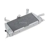 Aluminum Radiator Water Tank Cooler For BMW S1000R S1000XR 2019-2024 17118551544