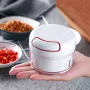Mini Garlic Crusher Press Grater for Kitchen Vegetables Cutter with Container