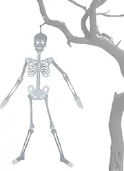 Halloween Skeletons Decorations, Posable Flat Skull, Halloween Wall Skeleton Figures, Flat Skull Halloween Decor, Jointed Figures Halloween Door Hangers for Door, Window, Wall