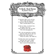 Red Red Rose Robert Burns Scotland Edinburgh Typography Unframed Wall Art Poster