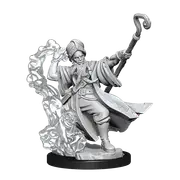 D&D Frameworks Human Wizard Male