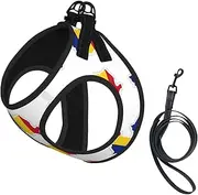 Romania Flag Map print Dog Harness and Leash Set, Reflective Adjustable Puppy Vest for Small Medium Large Dogs, Cats