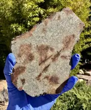 meteorite: NWA 17027 Weight 97.2 Grams. Beautiful!!!
