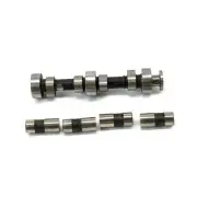 Polaris Camshaft Kit, Genuine OEM Part 2202110, Qty 1
