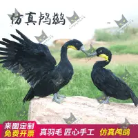 在飛比找蝦皮購物優惠-Shenglong模型/濮藝工藝鳥仿真鸕鶿工藝品道具濕地生態