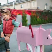 Garden Animal Shape Mailbox Weatherproof Dog And Pig Postal Box For Farm Yard Patio Creative Mailbox Outdoor A Durable Black 26cmx10cmx30cm Pink 30...