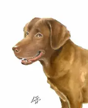✿ ORIGINAL Oil Portrait Painting LABRADOR RETRIEVER Artist Signed Lab Dog Art