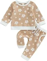 [Amiblvowa] Baby Girl Fall Outfits Floral Sweatshirt Pants Clothes Set Newborn Infant Clothing Gifts 3 6 9 12 18 24 Months