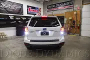 Diode Dynamics Tail as Turn +Backup Module for 2017-18 Subaru Forester (for: Subaru)