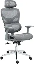 Ergolux EZ11 Ergonomic Mesh Office Chair (Grey) - ELEZ11HBMGA