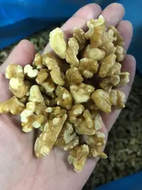 在飛比找蝦皮購物優惠-🎉CP小舖🎉美國1/8生核桃600g【雙北部份地區滿１５００