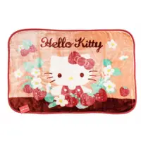 在飛比找蝦皮購物優惠-免運 日本進口 凱蒂貓 Hello Kitty 小毛毯(70