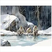 Wildlife Paint by Numbers Kit for Adults - DIY Japanese Snow Monkeys in Hot Spring Painting on Canvas 16x20 Inches, Frameless Acrylic Paint Set, Suitable for Beginners, Art for Home Decoration or Gift