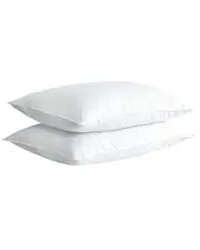 Firefly Twin Pack White Goose Feather And Down Blend Pillow