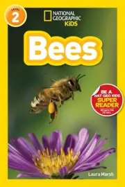 Bees by Laura Marsh (English) Paperback Book