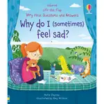 <USBORNE> WHY DO I (SOMETIMES) FEEL SAD? 翻翻書