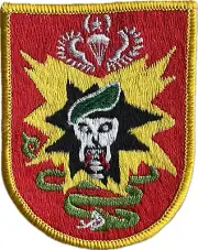 POST WAR 1980's VINTAGE MAC V SOG 1st SFG SNAKEBITE PATCH (1204)