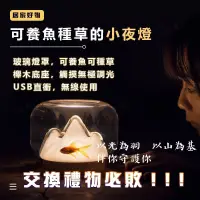 在飛比找蝦皮商城精選優惠-【桃園出貨】暖山造型小夜燈 魚缸設計 夜燈 桌面小夜燈 造型