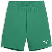 [PUMA] Jr 706376 Soccer Football, Kids' Shorts, Quick Drying, TeamGOAL Game Shorts, 25 Spring Summer