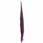 10" to 20" Ringneck Pheasant Tail Feather - Cerise