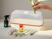 Beginners Propagation Set