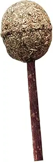 BESPORTBLE Catnip Ball Molar for Cats Edible Mint Chew Stick for Kittens Interactive Cat for Care Strengthens Bond Safe Natural Ingredients