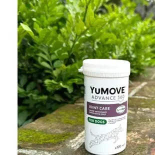 🌞喵汪星巴巴🌞優骼服 英國 YuMove ADVANCE 360 Dog 120錠