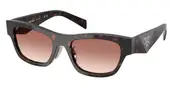 Prada PR B09SF Asian Fit 17N50L Men's Sunglasses Tortoiseshell Size 53