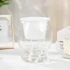 Plastic Hydroponic Plants Pot Mini Succulent Planter Tabletop Vase